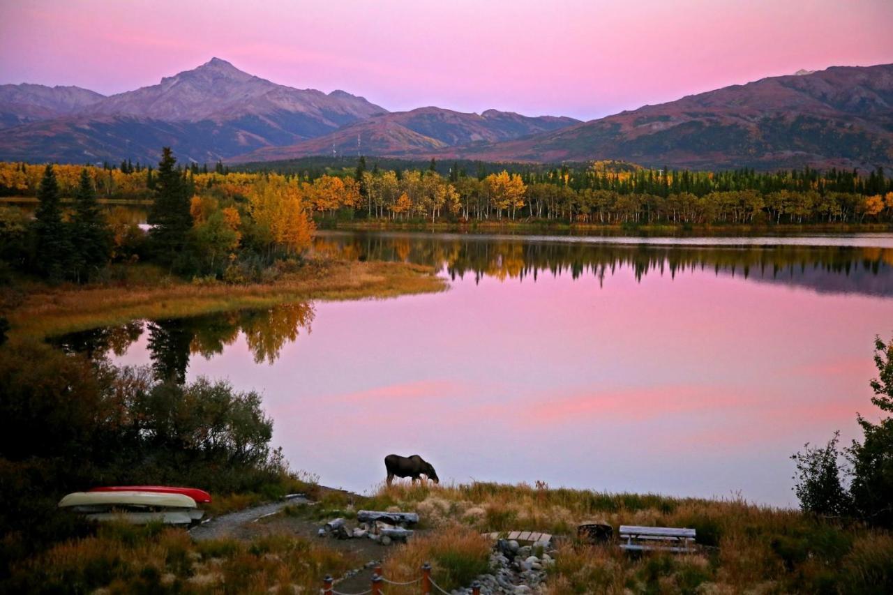 Denali Lakeview Inn Хили Экстерьер фото